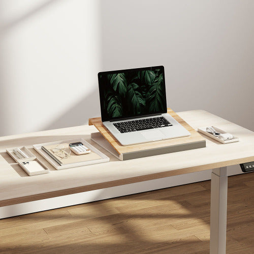 Brateck 2-in-1 Desktop Storage Box, 402x346x36mm, Weight Capacity: 5kg, Removeable Tray: organizes and stores small items (LS)