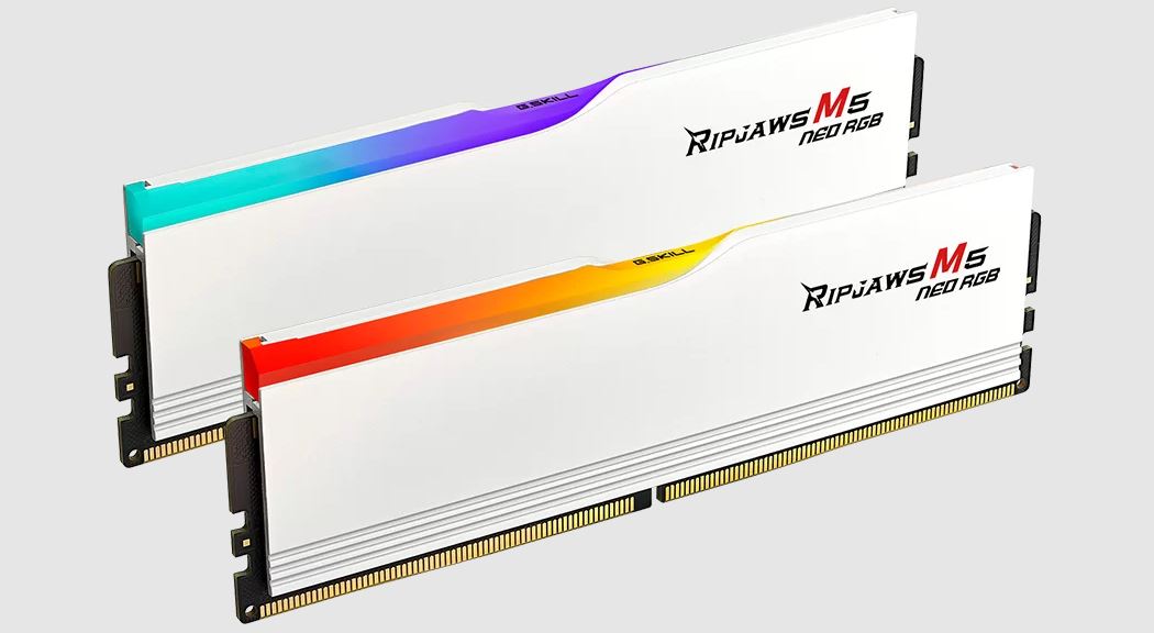 G.SKILL F5-6000J3636F32GX2-RM5NRW 64GB (2 x 32GB)/ DDR5 6000 MT/s/ Timings 36-36 image 1
