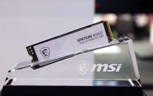 MSI 1TB M560 PCIe 5.0 NVMe M.2 SSD, Sequential Read up to 10,000MB/s image 0