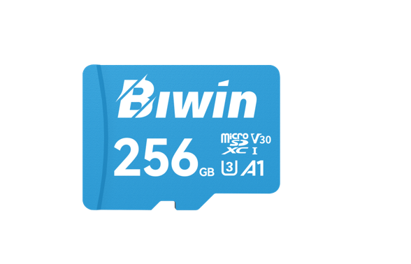 BIWIN MS100 256G  microSD3.0 Read & Write Speed up to 100MB/s & 50MB/s  case pac image 0