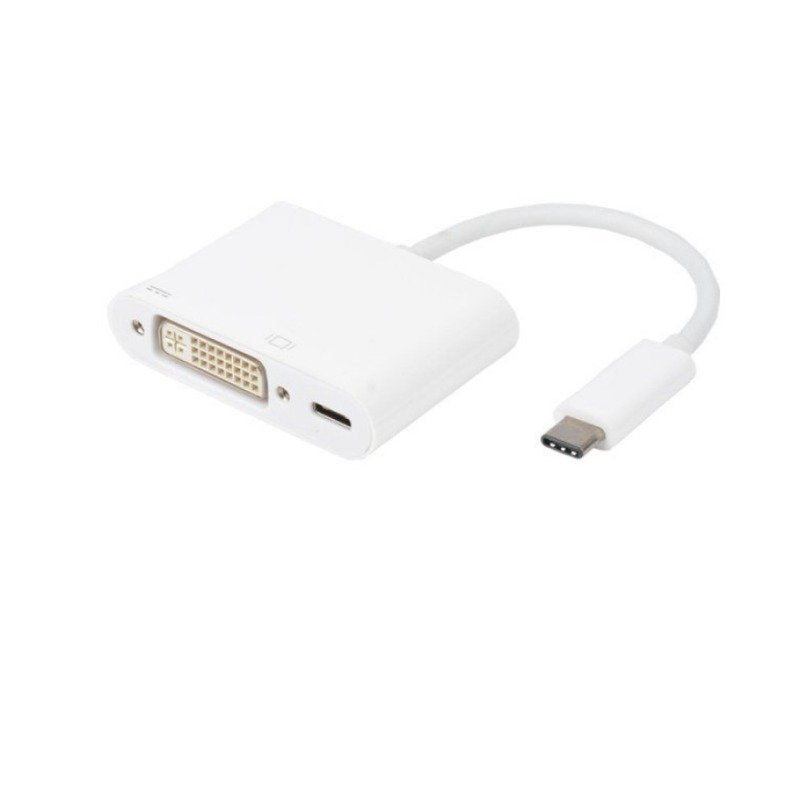USB-C to DVI Female Adaptor image 0