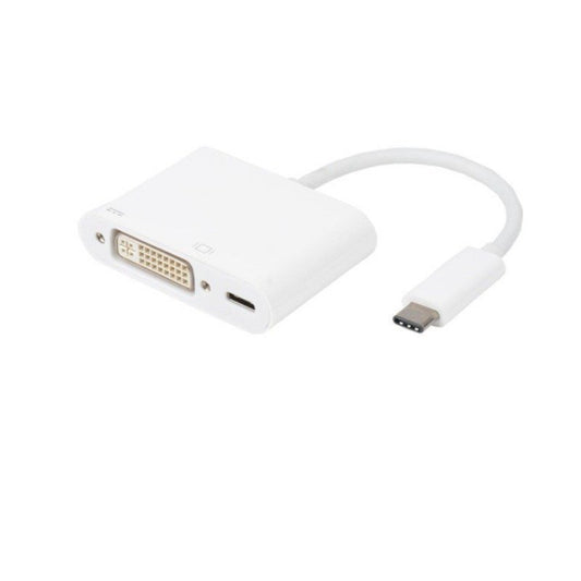 USB-C to DVI Female Adaptor image 0