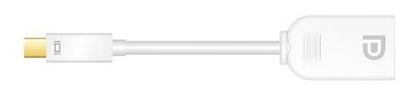 Mini DisplayPort (Male) to DisplayPort (Female) Adapter Cable — 15cm