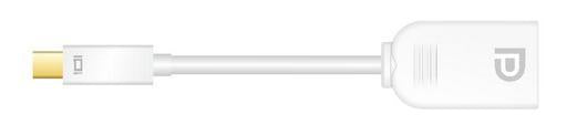 Mini DisplayPort (Male) to DisplayPort (Female) Adapter Cable — 15cm