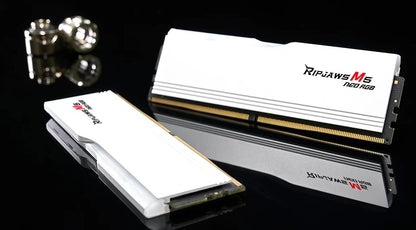 G.SKILL F5-6000J3636F16GX2-RM5NRW 32GB (2 x 16GB)/ DDR5 6000 MT/s / Timings 36-3