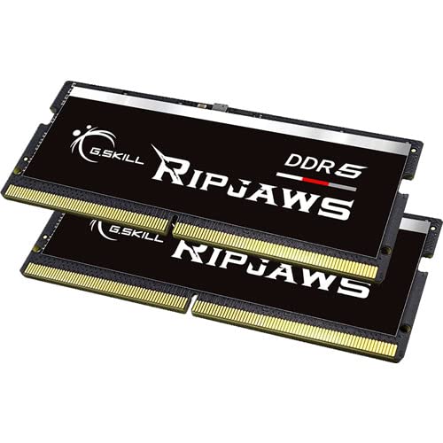 G.SKILL F5-4800S4039A16GX1-RS 16GB (1 x 16GB)/ DDR5 4800 MT/s / Timings 40-39-39