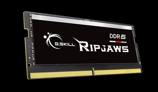 G.SKILL F5-5600S4040A32GX1-RS 32GB (1 x 32GB)/ DDR5 5600 MT/s / Timings 40-40-40-89/ Voltage 1.1V/XMP 3.0