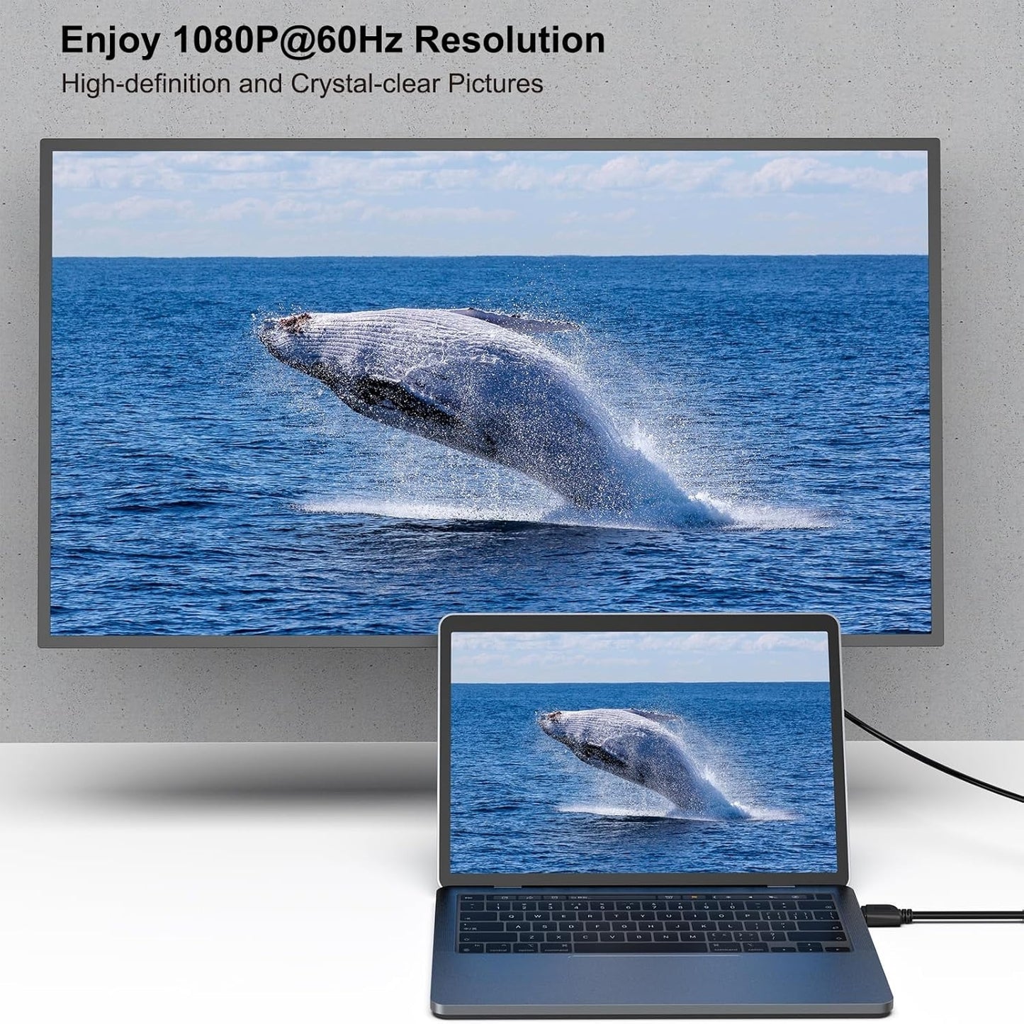 BENFEI HDMI to DVI Bi-Directional Cable — DVI-D 24+1 Male to HDMI Male