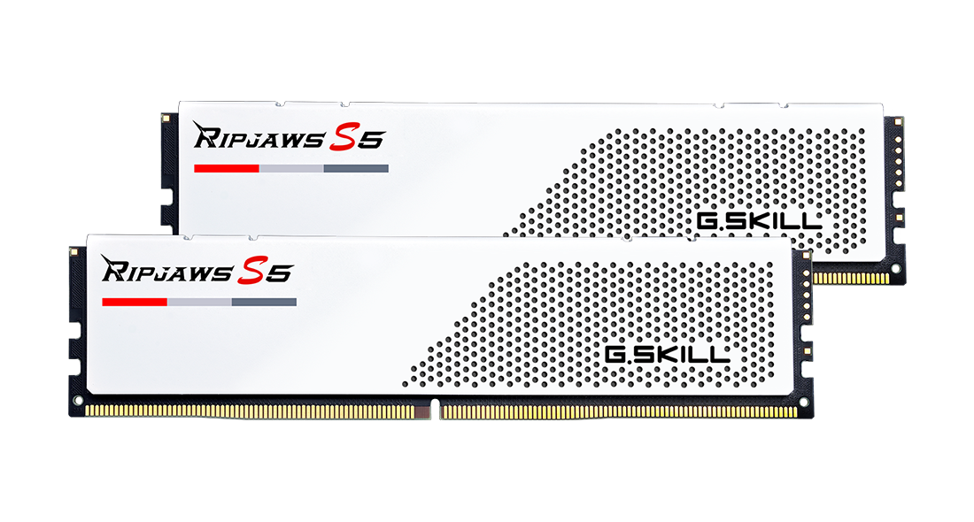 G.SKILL F5-5200J3636C16GX2-RS5W 32GB (2 x 16GB)/ DDR5 5200 MT/s/ Timings 36-36-3 image 0